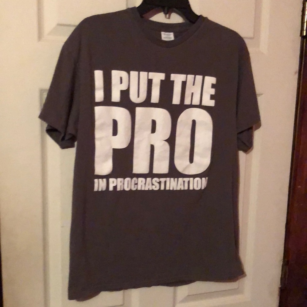 I Put The Pro In Procrastination Gray Letter T-Shirt Mens Large L